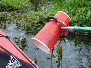 Removing a plastic cup from the Black River Chester NJ