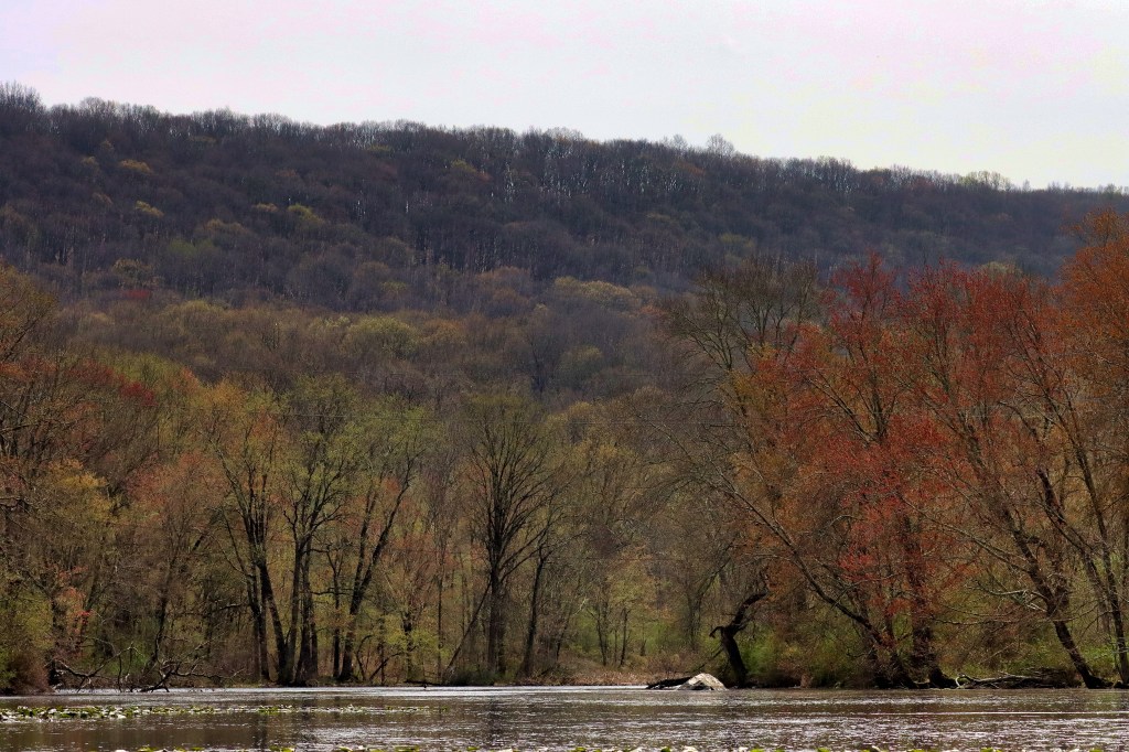 Downstream from the launch as spring color begins.